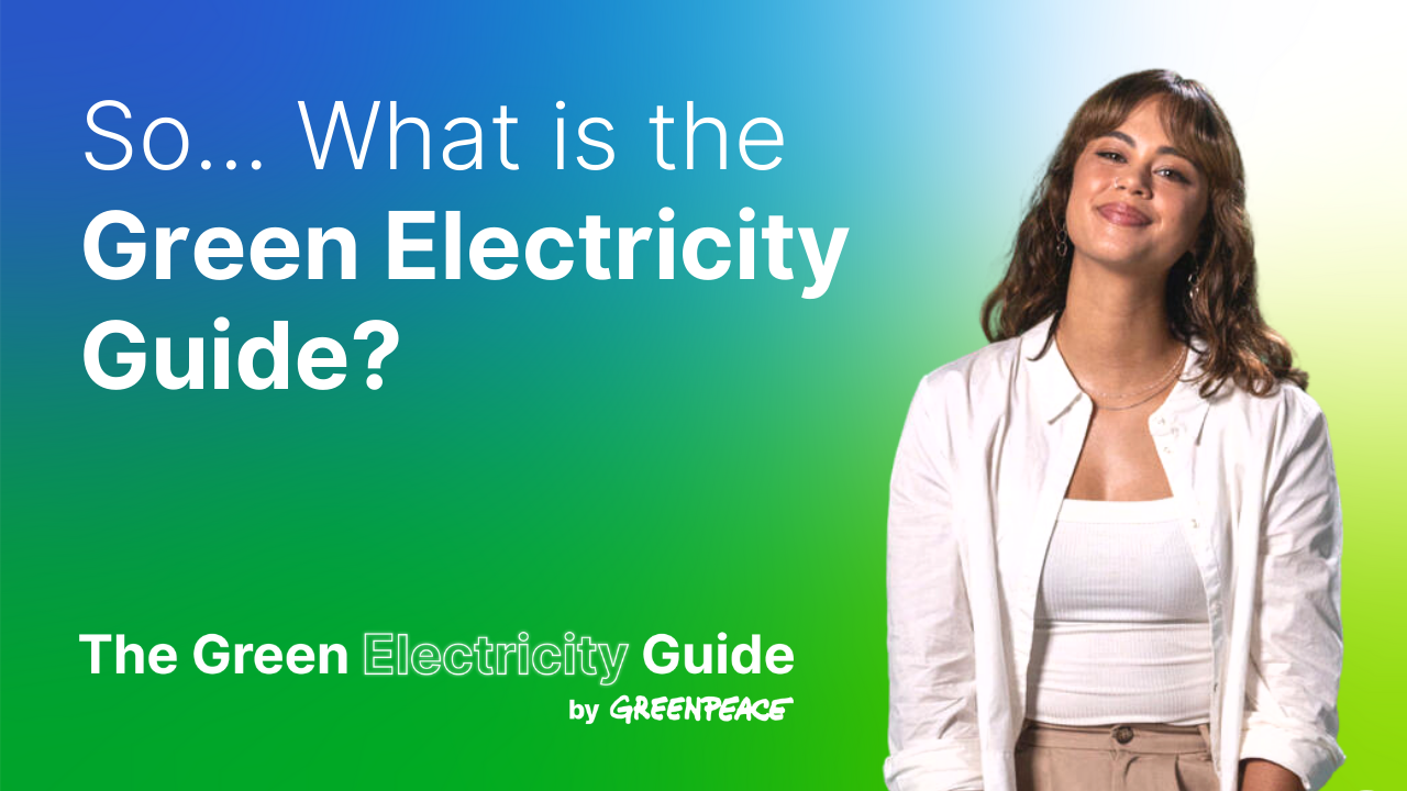 The Green Electricity Guide by Greenpeace